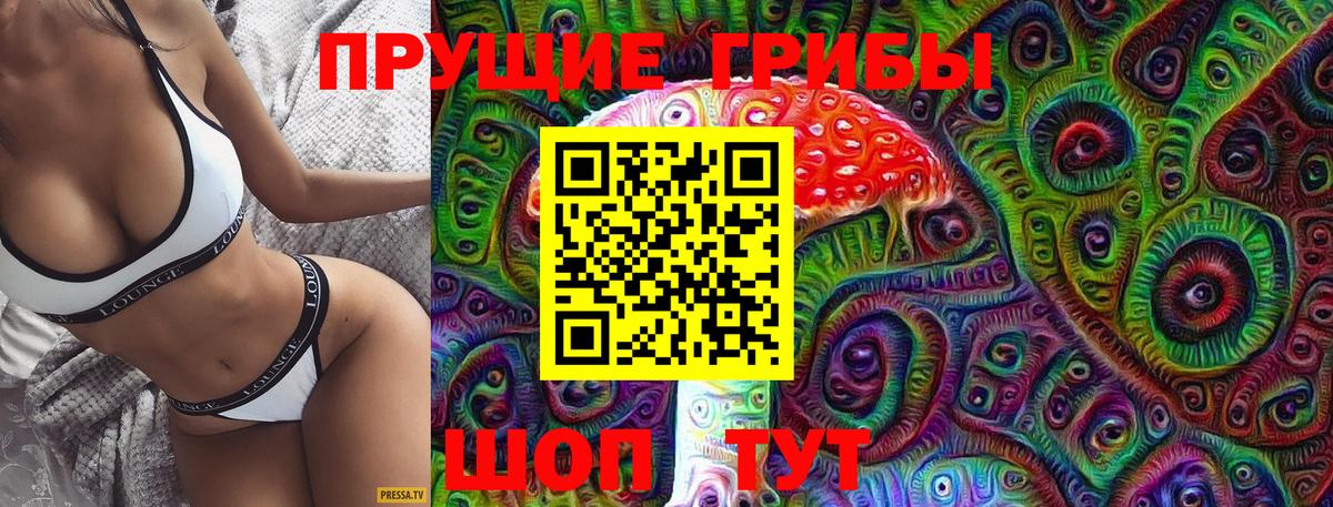 Галлюциногенные грибы Psilocybine cubensis Похвистнево