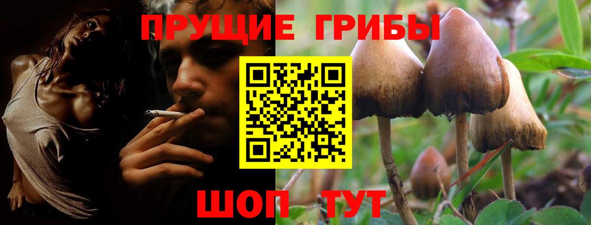 Похвистнево  Псилоцибиновые грибы Psilocybe  Вход с VPN 